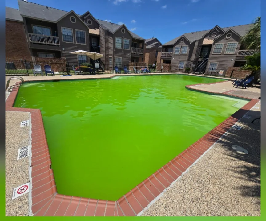 Commercial green pool before Aqua Heart Pools recovery