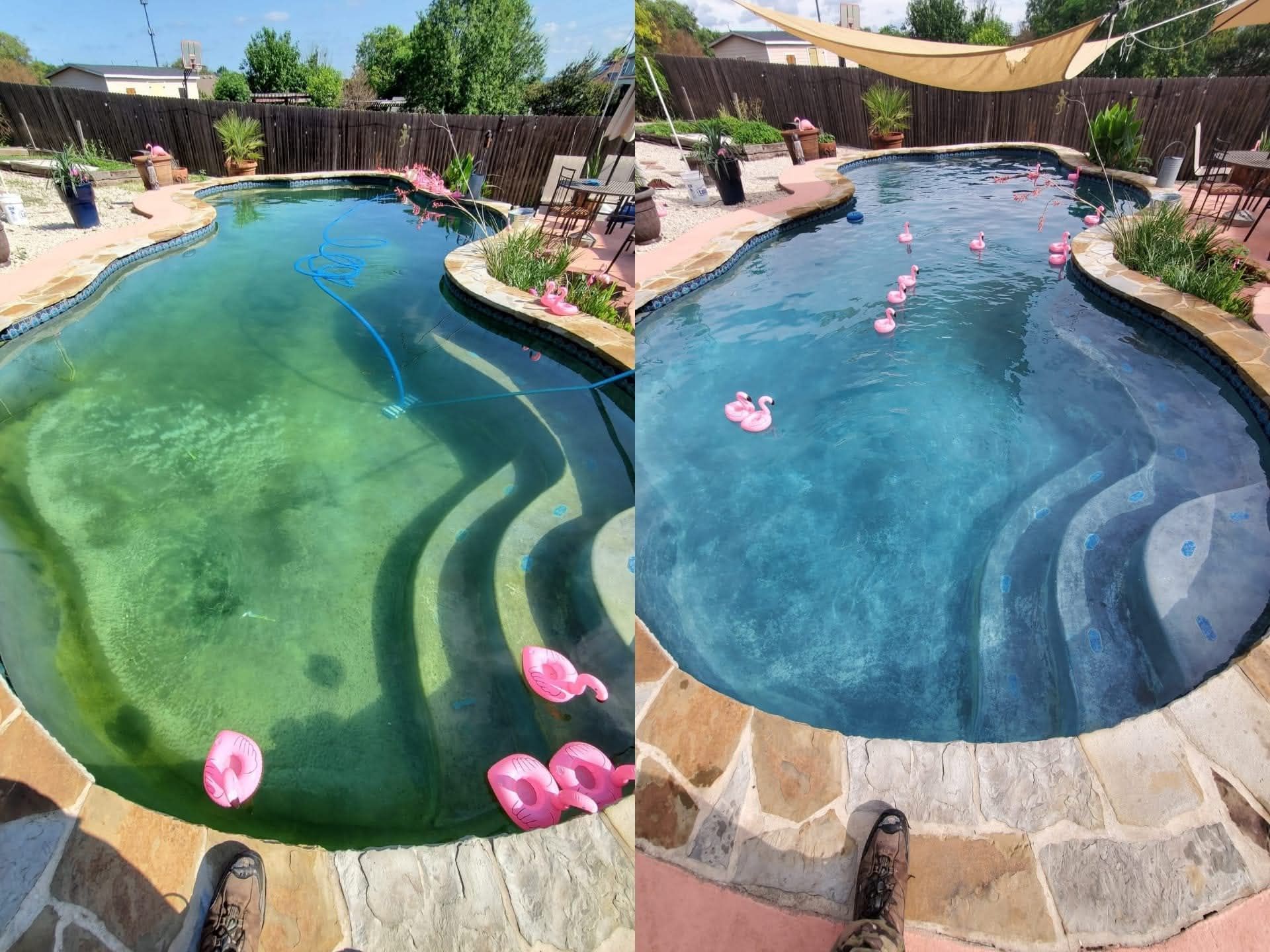 Algae treatment to crystal clear pool