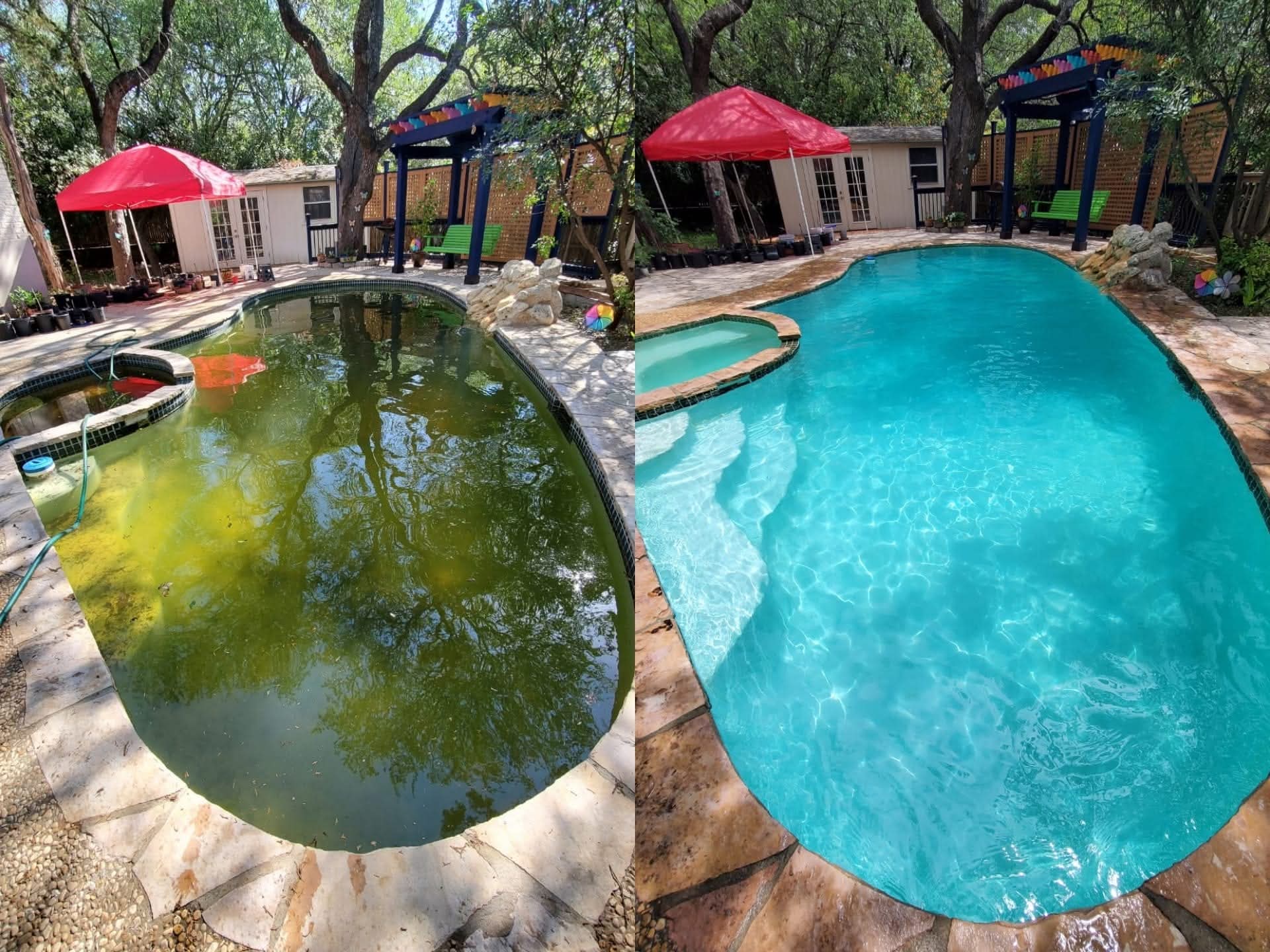 Swamp pool recovered to crystal clear in three weeks