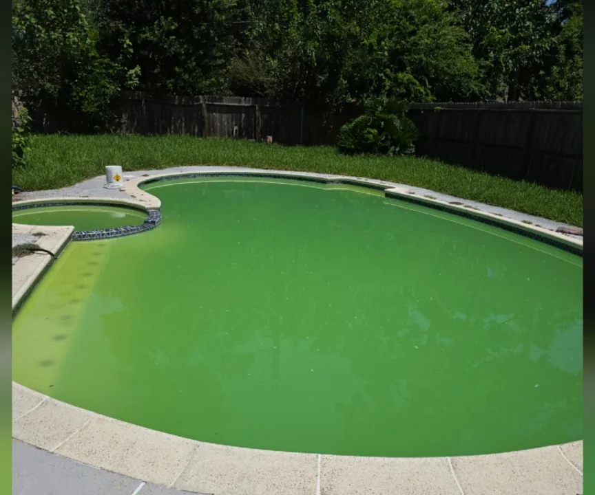 Green residential pool before Aqua Heart Pools treatment
