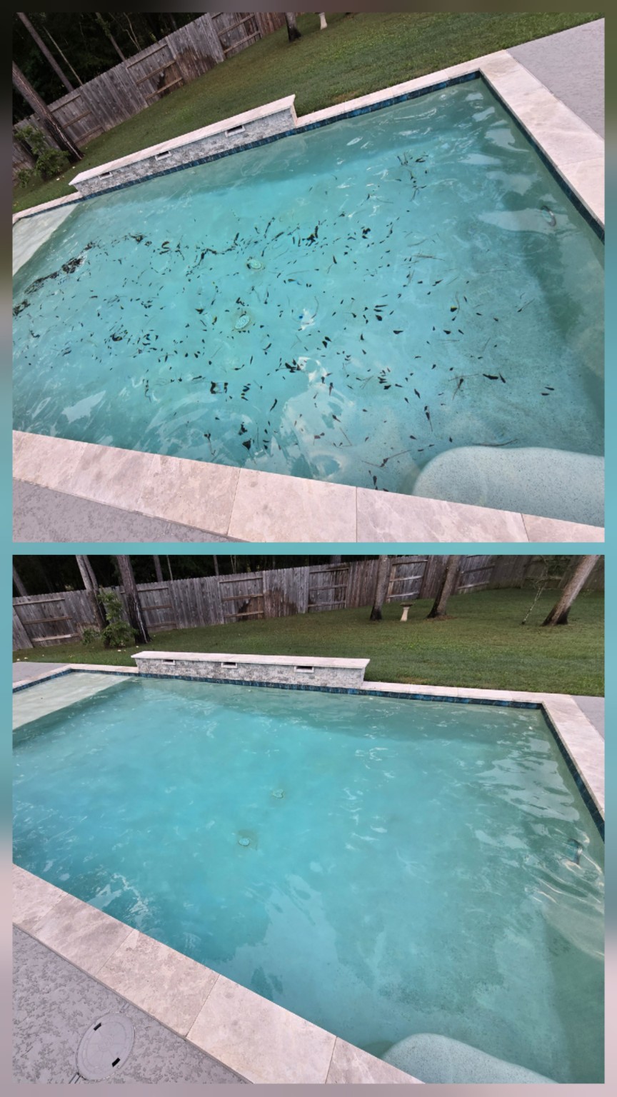 Before and after debris removal from a residential pool serviced by Aqua Heart Pools